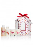 Indulging Bird Cage de Green & Spring
